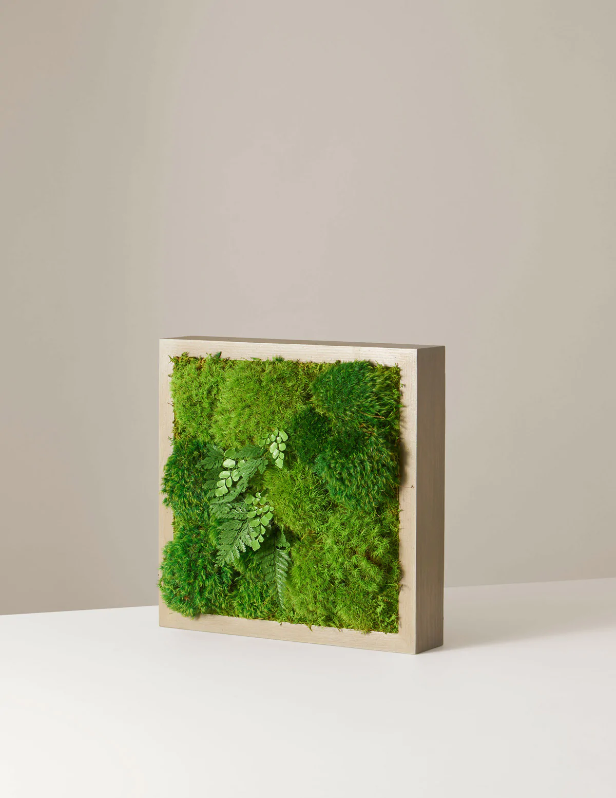 Decorative Moss Frames SakéOne