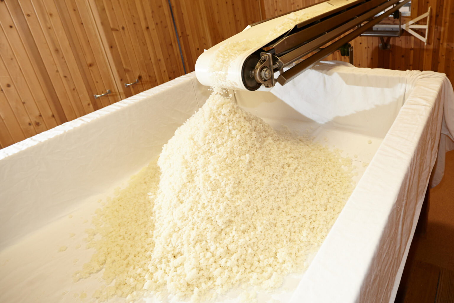 Rice Being Transferred into a Koji Room on a Conveyor Belt